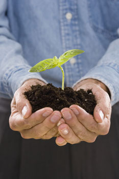 Nurturing hands